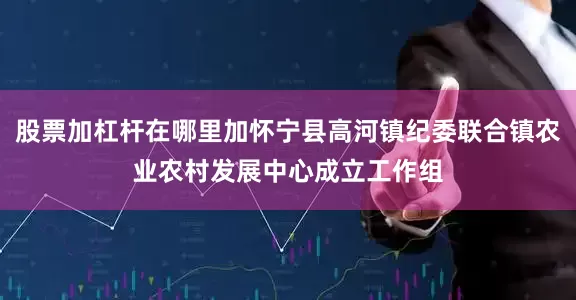 股票加杠杆在哪里加怀宁县高河镇纪委联合镇农业农村发展中心成立工作组