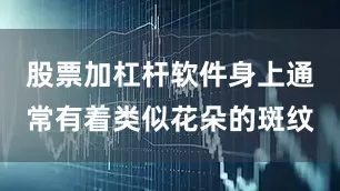 股票加杠杆软件身上通常有着类似花朵的斑纹