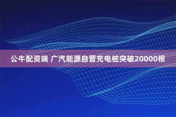 公牛配资端 广汽能源自营充电桩突破20000根
