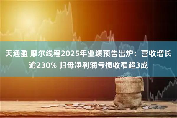 天通盈 摩尔线程2025年业绩预告出炉：营收增长逾230% 归母净利润亏损收窄超3成
