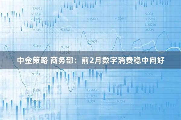 中金策略 商务部：前2月数字消费稳中向好